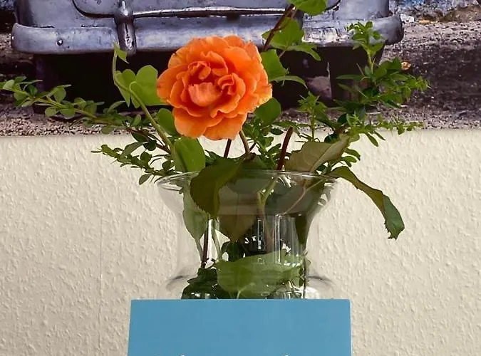 Hotel Apartm3 Am Park Bad Oeynhausen